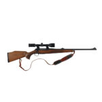 SAUER 202 30-06
