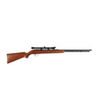 SEARS 25 22 LR