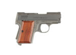 AMT BACKUP .380 ACP