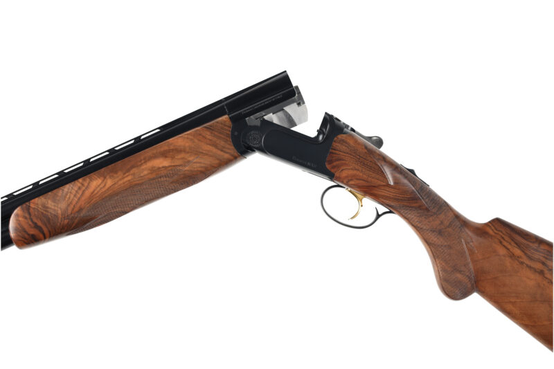 Misha & Puff ポインティ　4-8y PERAZZI MX8 12 GAUGE for Sale - Order Online