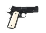 NIGHTHAWK VIP 9MM CALIBER