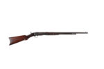 REMINGTON GALLERY SPECIAL 22 SHORT