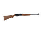 WINCHESTER 190 .22 LONG RIFLE
