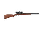 MARLIN 60 22 LR
