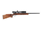 STEYR MANNLICHER L 22-250 REM
