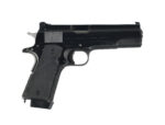 COLT GOVERNMENT 1911 .45 ACP