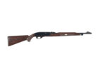 REMINGTON NYLON 66 .22 LONG RIFLE