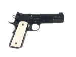 NIGHTHAWK CUSTOM VIP GOVERNOR .45 ACP