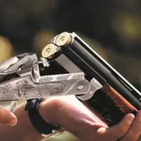 Shotguns