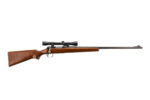REMINGTON 722 244 REMINGTON