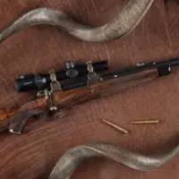 Rifles