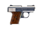 RAVEN ARMS MP-25 25 AUTO