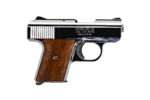 RAVEN ARMS MP-25 .25 ACP