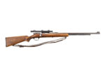 SAVAGE 5 .22 S/L/LR